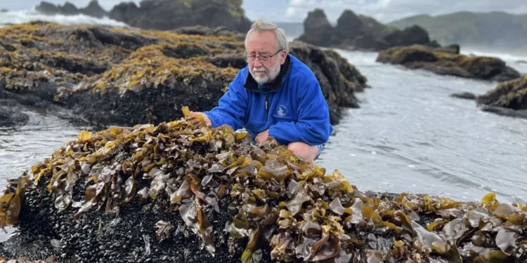 Algas, cambio climático y el desafío de hacer ciencia en el sur