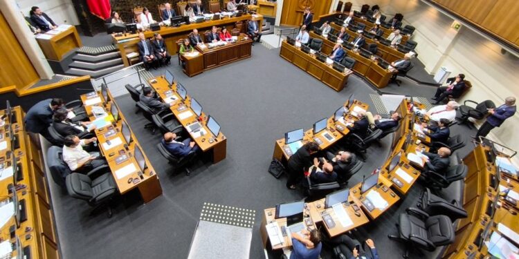 Senado prioriza reforma a la responsabilidad penal adolescente tras acuerdo con RN