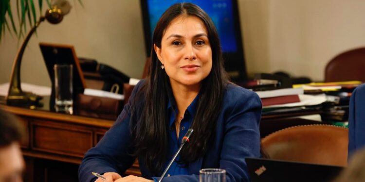 Comisión de Vivienda analiza proyecto que sanciona con 10 años sin subsidios a usurpadores