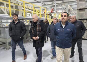 Chile inaugura la planta de procesamiento de avellano más austral del mundo