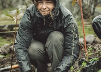 Más de 600 árboles nativos fueron plantados durante un histórico fin de semana de restauración ecológica en Osorno