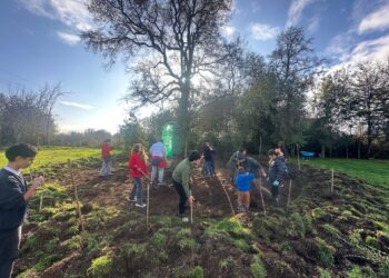 Alianza Francesa de Osorno inaugura su primer bosque de Bolsillo