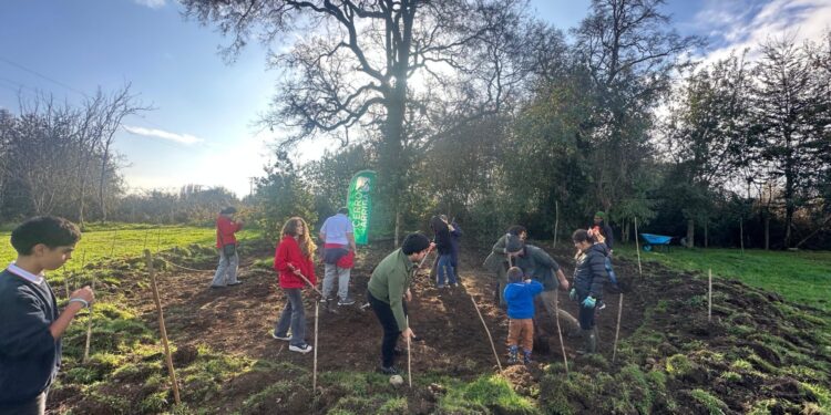 Alianza Francesa de Osorno inaugura su primer bosque de Bolsillo