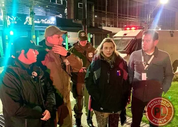 Puerto Montt: Tres locales clausurados y un detenido deja masivo operativo nocturno