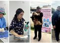 Esterilización gratuita de mascotas en Osorno