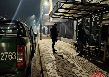 Osorno: Carabineros detiene a sujeto con cinco órdenes de detención vigentes