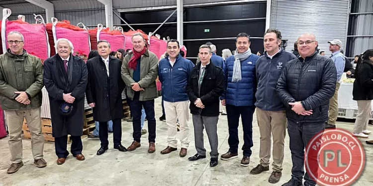 Inauguran en Osorno la planta de procesamiento de avellano europeo