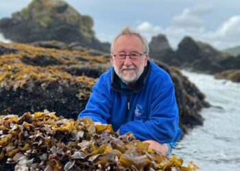 Universidad de Los Lagos impulsa candidatura del científico Alejandro Buschmann al Premio Nacional de Ciencias Naturales