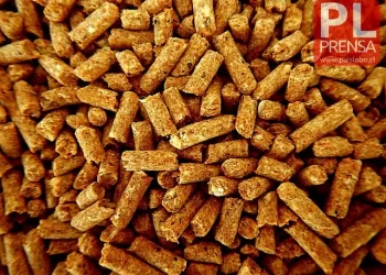Alerta por estafas y alza de precios en venta de pellet en Osorno