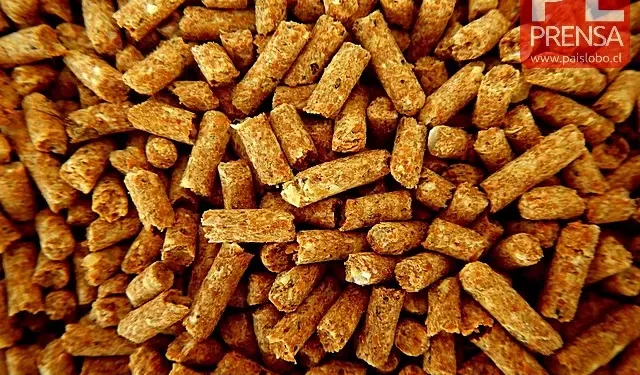 Alerta por estafas y alza de precios en venta de pellet en Osorno