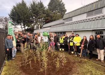 Biblioteca Pública de Francke inaugura el primer bosque de bolsillo Miyawaki