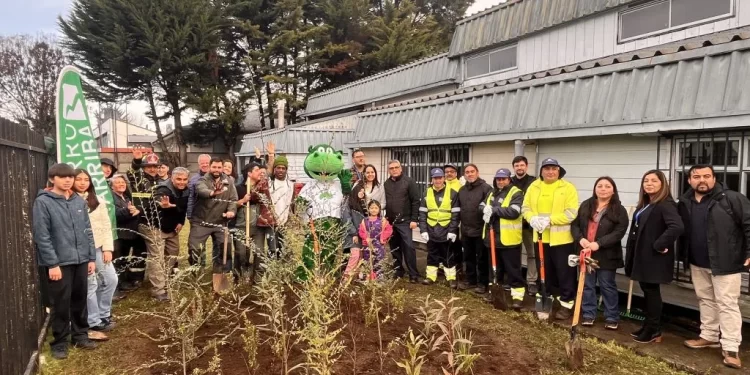 Biblioteca Pública de Francke inaugura el primer bosque de bolsillo Miyawaki