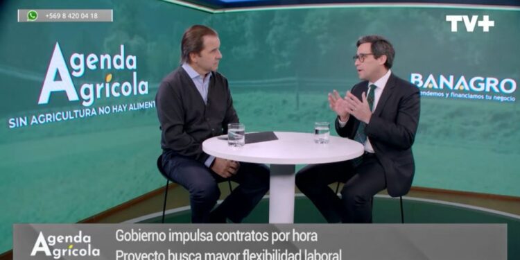 Agenda Agrícola: SNA explica proyecto de contratación por hora y asegura que no significa precarización laboral