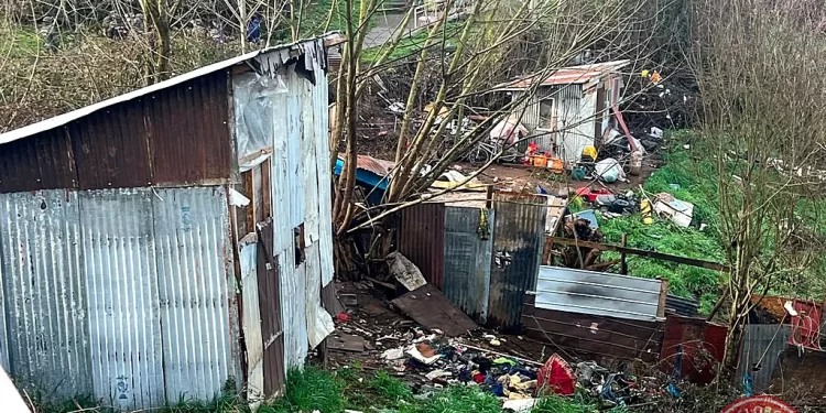 Desalojo en Osorno por ocupación ilegal de terreno municipal