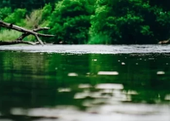 Alerta Roja para la comuna de San Pablo tras desborde del río Bueno