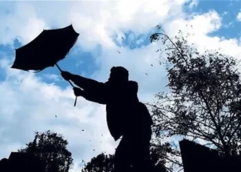 Los Lagos y Aysén: Rachas de hasta 100 km/h este jueves 23 de julio