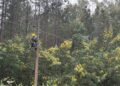 Saesa refuerza labores en terreno y logra restablecer el servicio al 98% de los clientes afectados por el temporal en Osorno y el Ranco