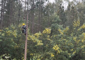 Saesa refuerza labores en terreno y logra restablecer el servicio al 98% de los clientes afectados por el temporal en Osorno y el Ranco