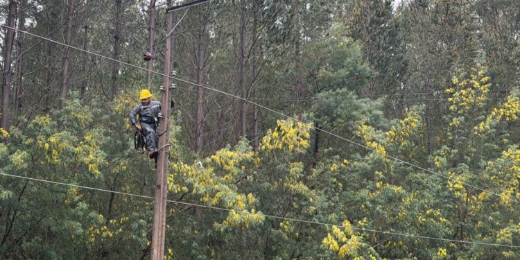 Saesa refuerza labores en terreno y logra restablecer el servicio al 98% de los clientes afectados por el temporal en Osorno y el Ranco