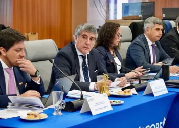 GORE Los Lagos lanzará histórica iniciativa para personas con TEA