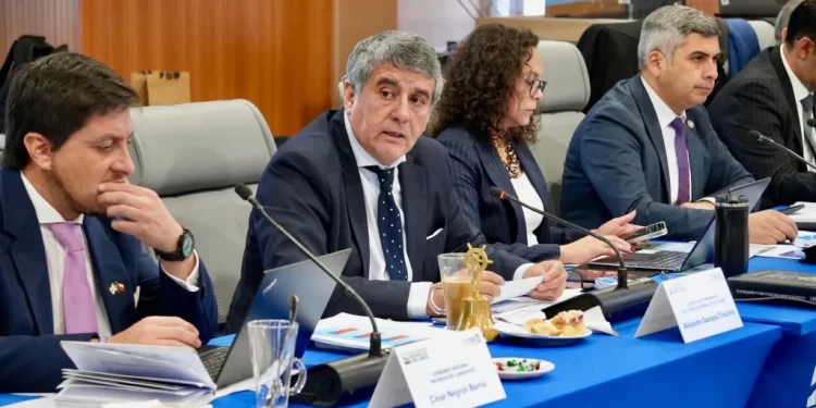 GORE Los Lagos lanzará histórica iniciativa para personas con TEA