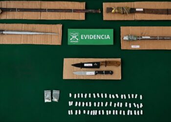 Cuatro detenidos por diversos delitos en Alerce histórico