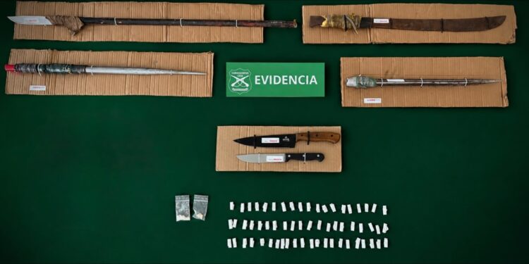 Cuatro detenidos por diversos delitos en Alerce histórico