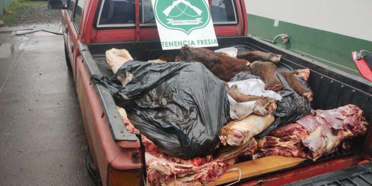Dos detenidos por abigeato tras ser sorprendidos con animal vacuno faenado en Fresia