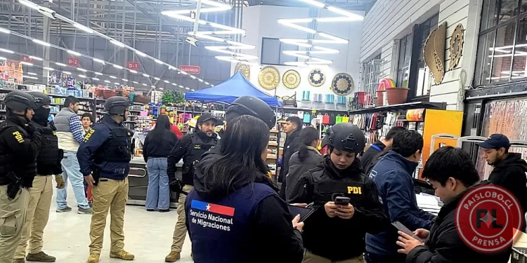 Fiscalización en Osorno: Detectan irregulares, detenidos y sanciones laborales