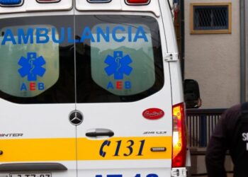 Niña de 11 años fallece en O’Higgins: confirman diagnóstico de Virus Hanta como causa de muerte