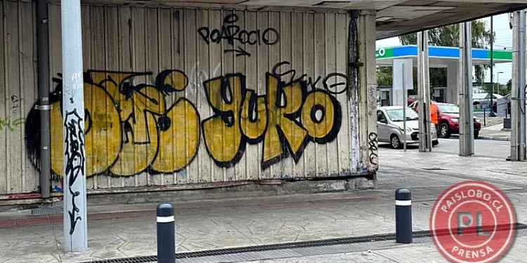 Condenan a responsables de 86 rayados en Puerto Montt a multas y trabajo comunitario