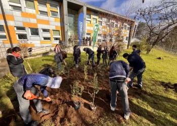 Liceo Rahue incorpora su primer bosque Miyawaki