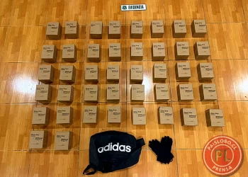 Sorprendidos en pleno acto: El insólito botín que intentaban robar en Osorno