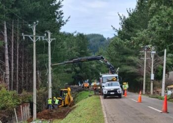 Saesa ejecutará trabajos de fortalecimiento de la red eléctrica en Lago Ranco, Osorno y Puyehue