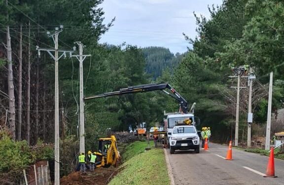 Saesa ejecutará trabajos de fortalecimiento de la red eléctrica en Lago Ranco, Osorno y Puyehue