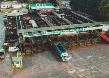 Feria de Osorno genera ganancias por US$7,6 millones en primer semestre duplicándolas respecto de la primer mitad de 2025