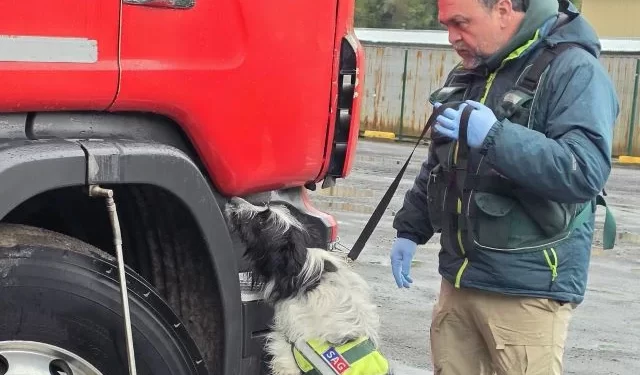 Brigada Canina intercepta más de 13 kg de productos de riesgo ocultos en camión procedente de Brasil