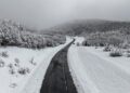 Ante intensas nevadas, Delegación Presidencial Provincial de Osorno informa suspensión del tránsito de camiones en Cardenal Samoré