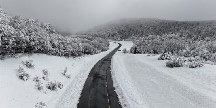 Ante intensas nevadas, Delegación Presidencial Provincial de Osorno informa suspensión del tránsito de camiones en Cardenal Samoré