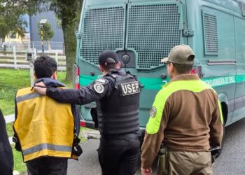 Detienen a hombre por parricidio frustrado en Isla Llanchid tras despliegue marítimo de Carabineros