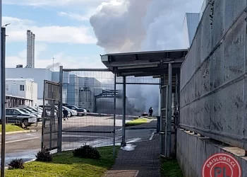 Explosión en calderas de Colún en La Unión de un lesionado