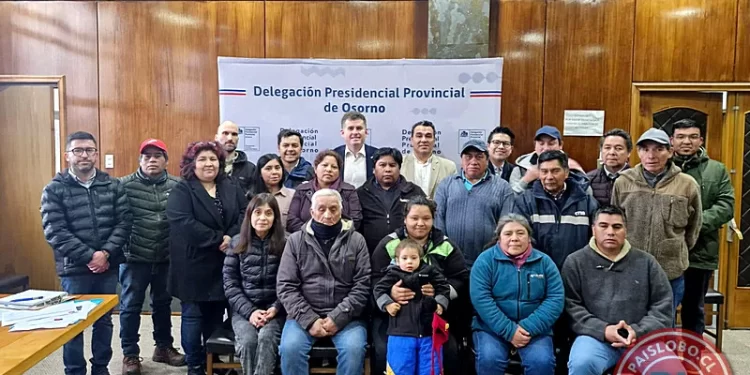 Osorno: Las urgentes demandas que la Mesa Mapuche Puente Negro pide solucionar