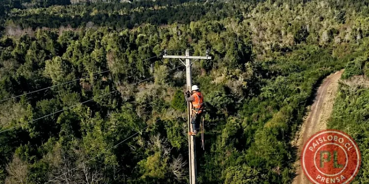 Luz para cientos de familias: Inversión cambiará la vida rural en San Juan de la Costa