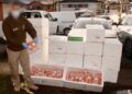 Diligencias de O.S.9 permiten recuperar millonario cargamento de salmón sustraído en Puerto Montt