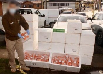 Diligencias de O.S.9 permiten recuperar millonario cargamento de salmón sustraído en Puerto Montt