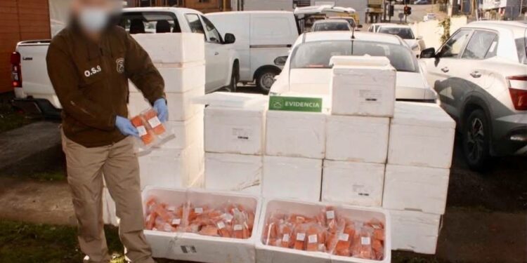 Diligencias de O.S.9 permiten recuperar millonario cargamento de salmón sustraído en Puerto Montt