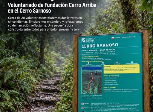 Fundación Cerro Arriba realizará voluntariado por el Día de los Cerros en Puyehue