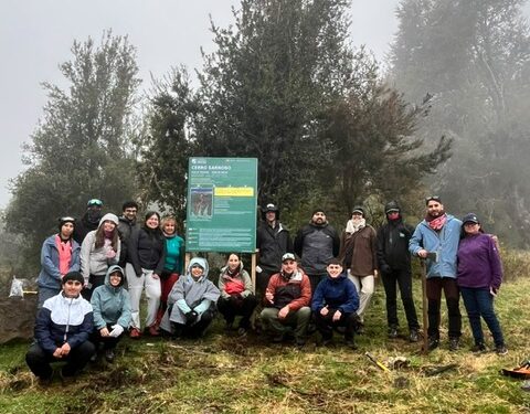 Voluntarios unieron sus manos para cuidar el Cerro Sarnoso