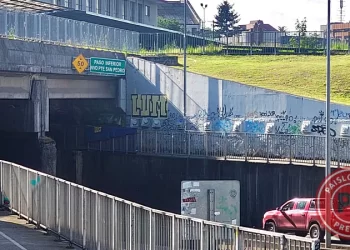 Hallan sin vida a joven de 23 años en paso bajo nivel de Osorno