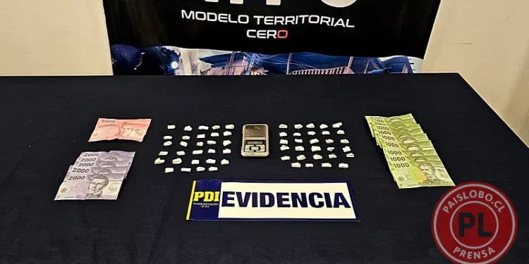 Operativo en campamento de Osorno termina con dos detenidos y droga incautada